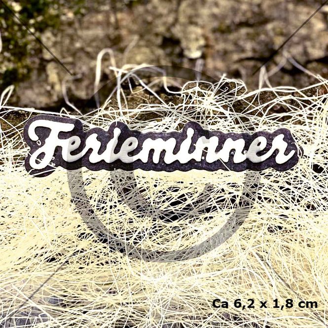 Hovedbilde Ferieminner (6 dies )