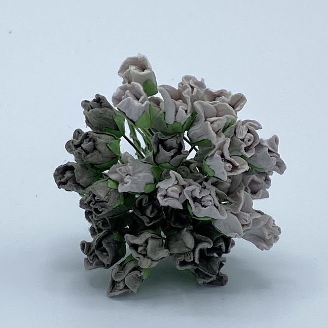 Hovedbilde Lukket rose, grå