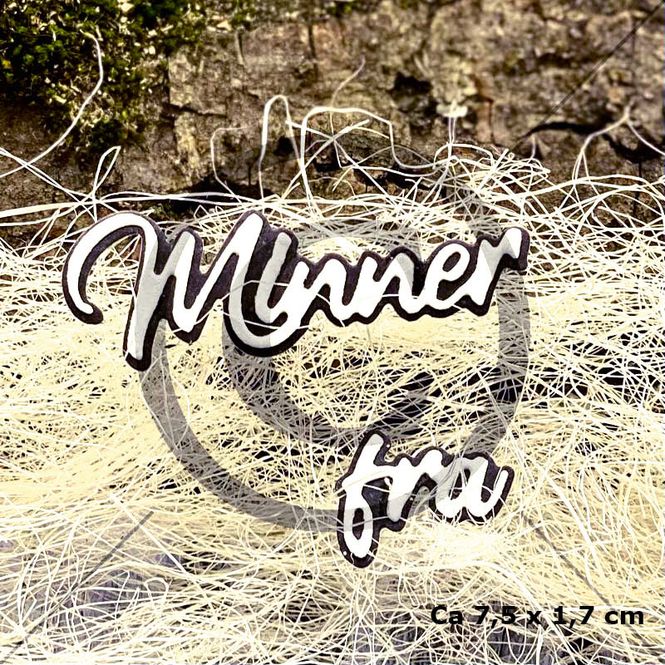 Hovedbilde Minner fra (6 dies )