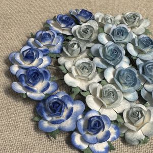 Hovedbilde Roser 2,5 cm, bl&aring;