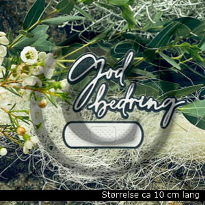 Hovedbilde God bedring ( 6 dies )