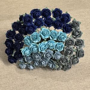 Hovedbilde Roser 1,2 cm, bl&aring; miks