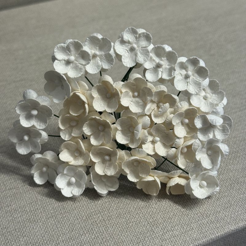 S&oslash;te blomster, hvit og beige