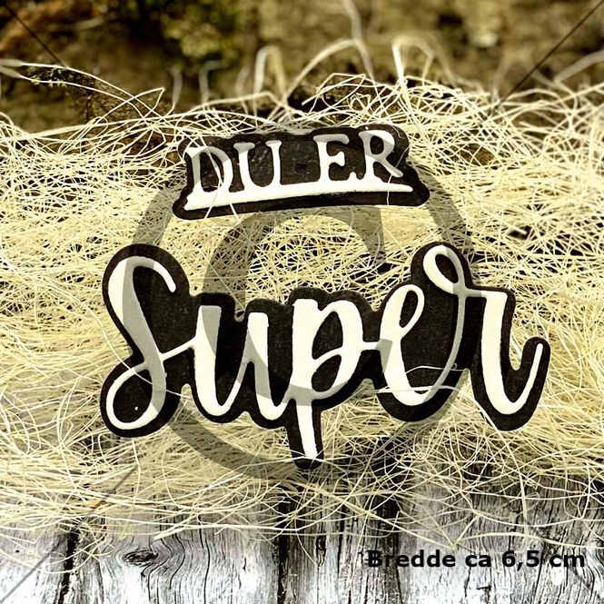 Hovedbilde Du er super 2 (6 dies )